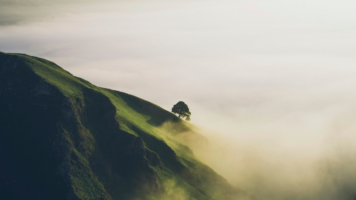 Unveiling The Meaning Behind The Dreams Advent Calendar: Nature-Inspired Symbols