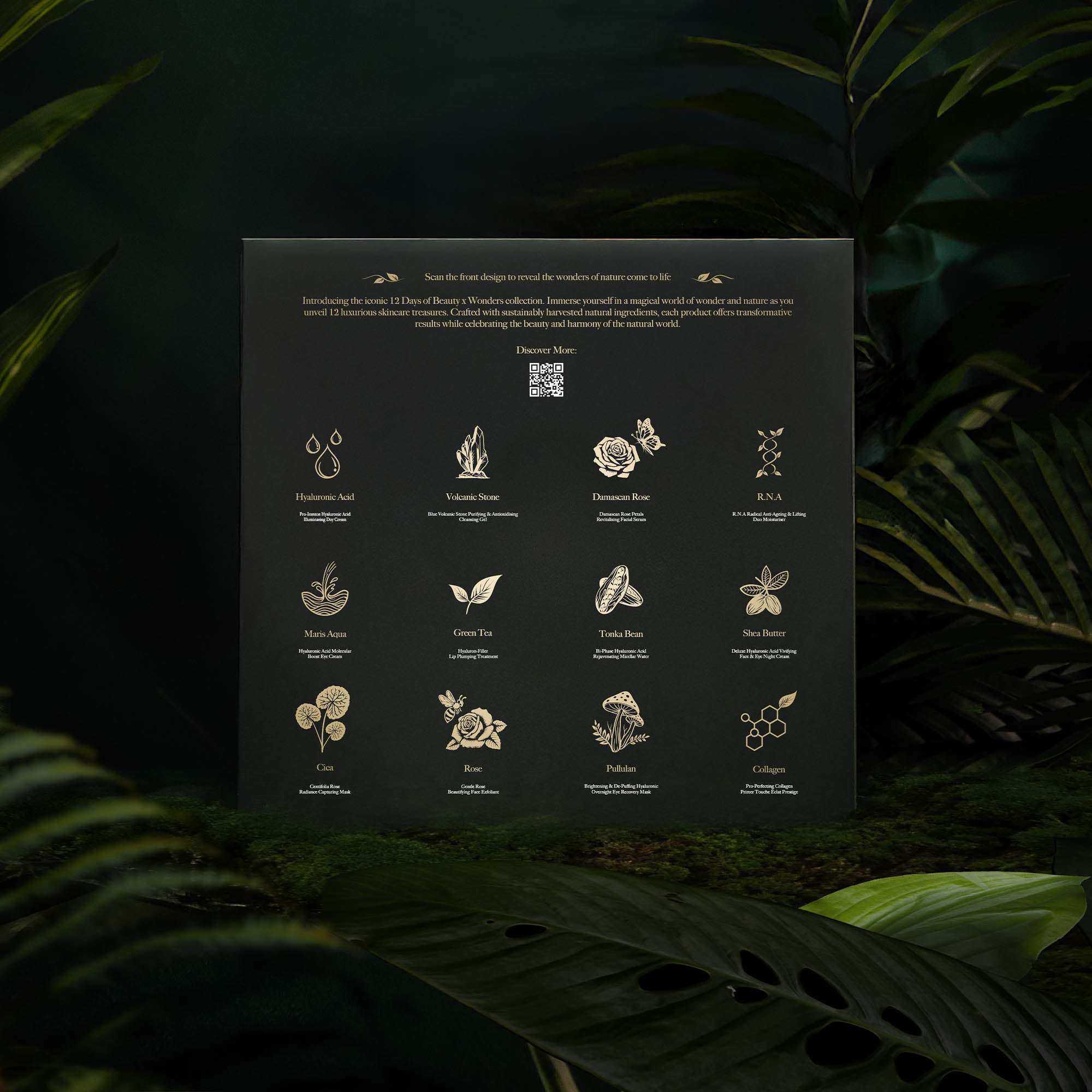 Wonders Advent Calendar 2025