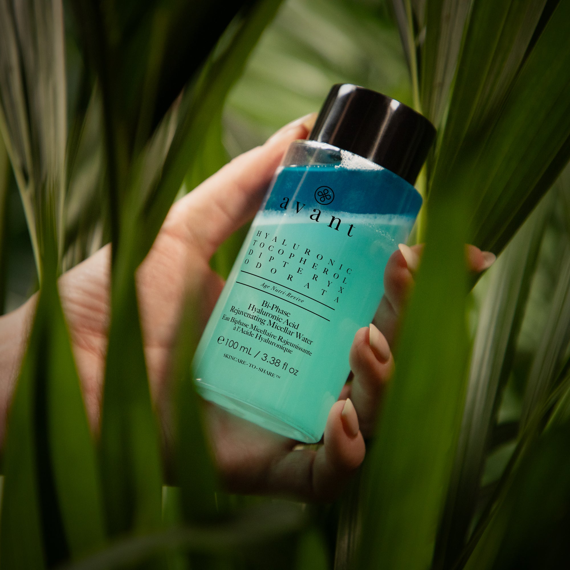 Wonders Advent Calendar 2025