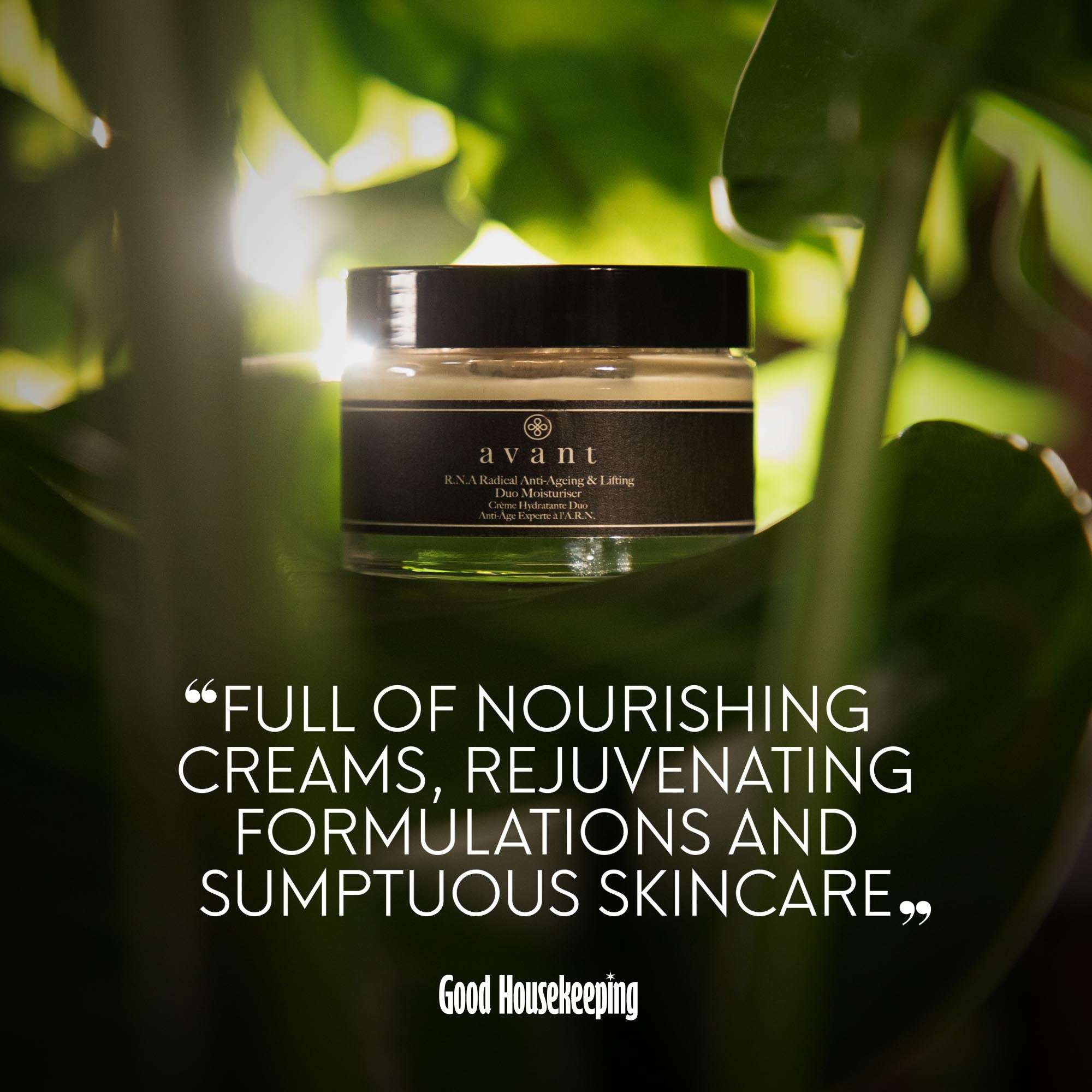 Wonders Advent Calendar 2025